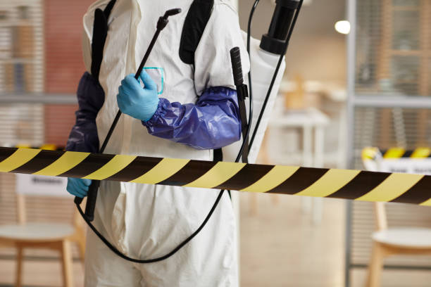 Professional Sewage Cleanup technician working in Pine Village, IN